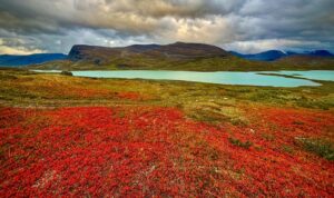 Wim Zweeds Lapland augustus 2025 - terugblik - 2